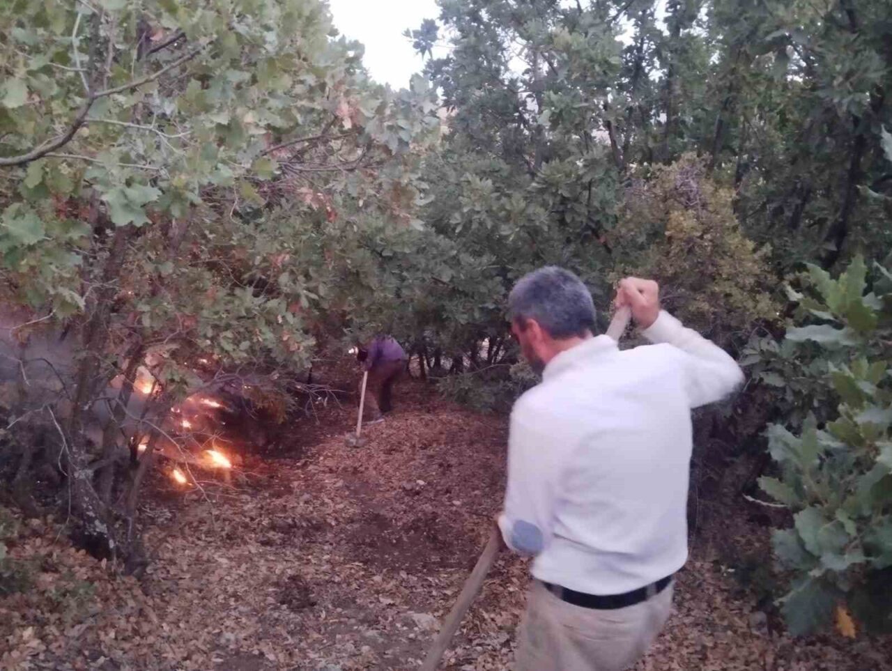 Elazığ’da ağaçlık alanda çıkan yangın, vatandaşların müdahalesiyle söndürüldü. Yangın, Elazığ’ın