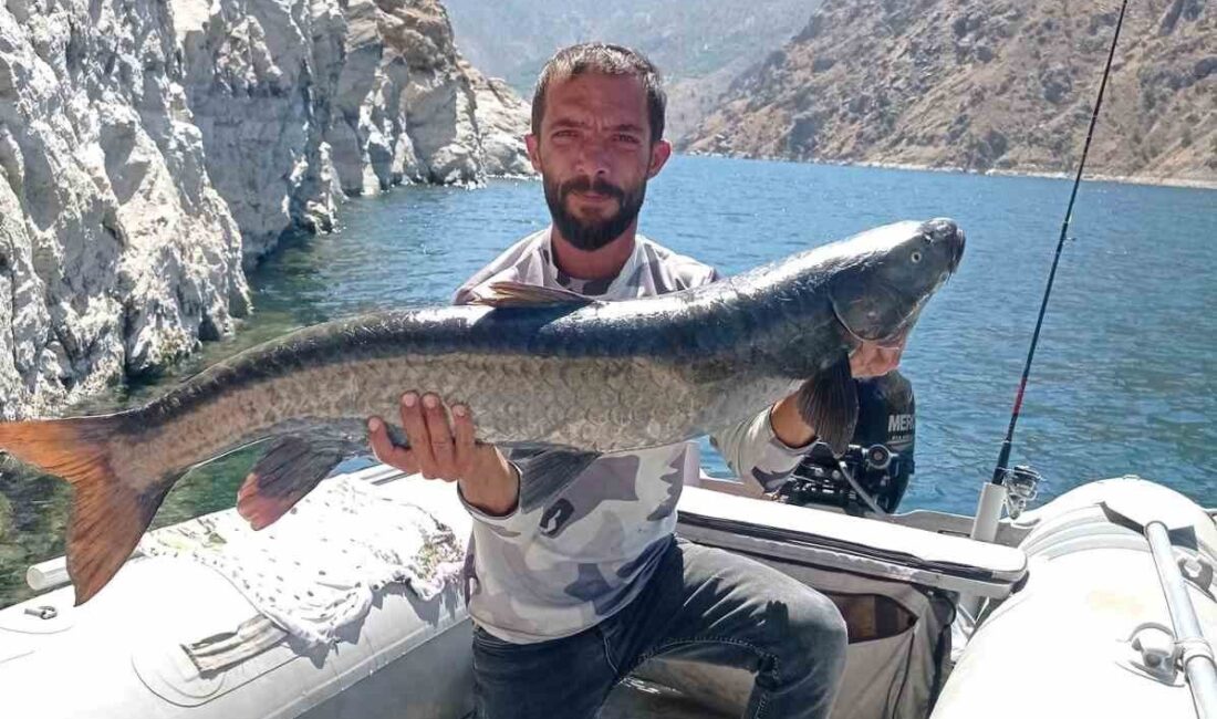 Elazığ’ın Karakaya Baraj Gölü’nde avlanan amatör balıkçının oltasına 1,5 metre