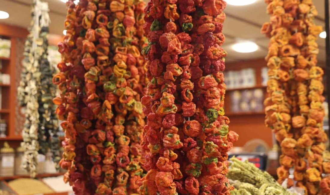 Elazığ’da kış aylarının vazgeçilmez lezzeti olan yeni mahsul kurutmalıklar tezgahlardaki