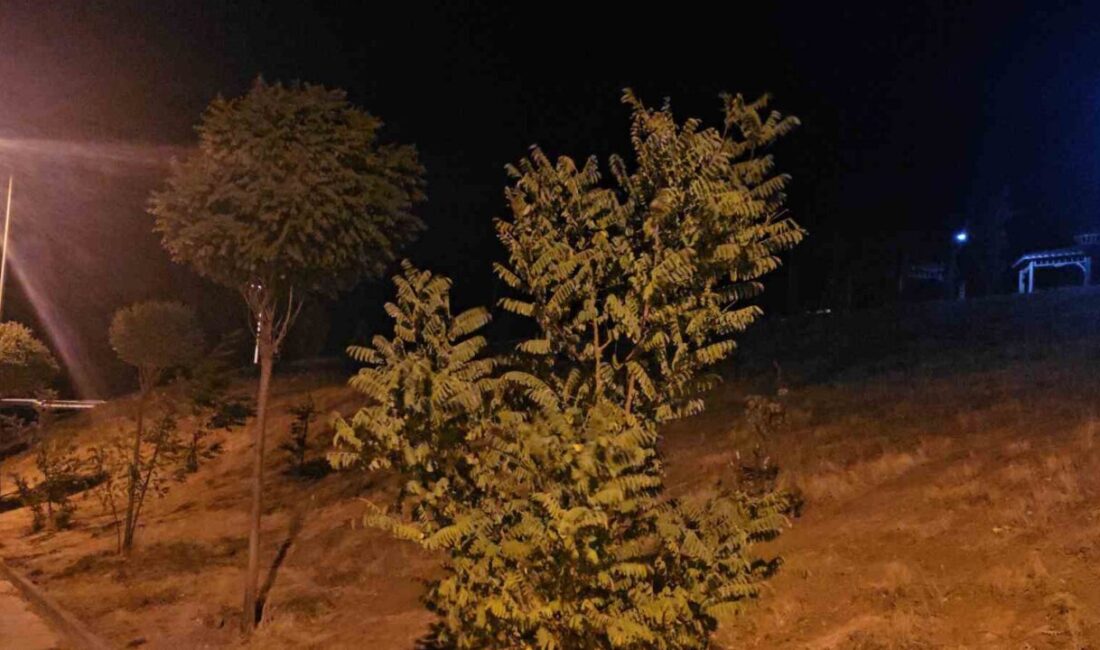 Elazığ’da kuvvetli rüzgar gece saatlerinde etkisini sürdürüyor. Elazığ’da kuvvetli rüzgar