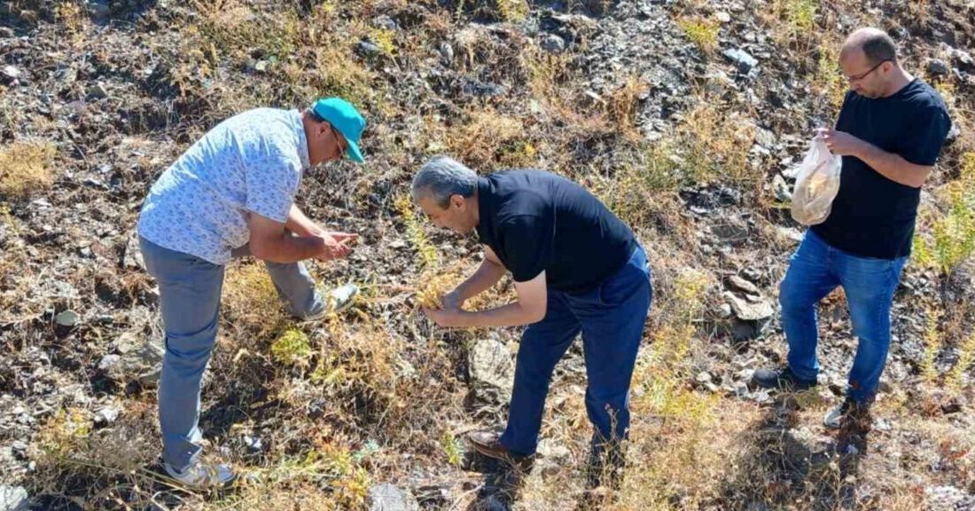 Elazığ Doğa Koruma ve Milli Parklar Müdürlüğü tarafından maden çayı