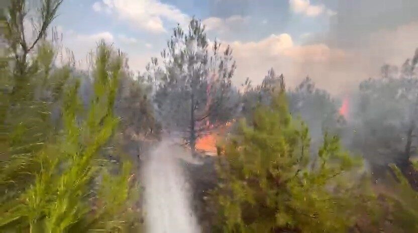 Elazığ’ın Kovancılar ilçesinde ormanlık alanda çıkan yangın, itfaiye ekiplerince kontrol