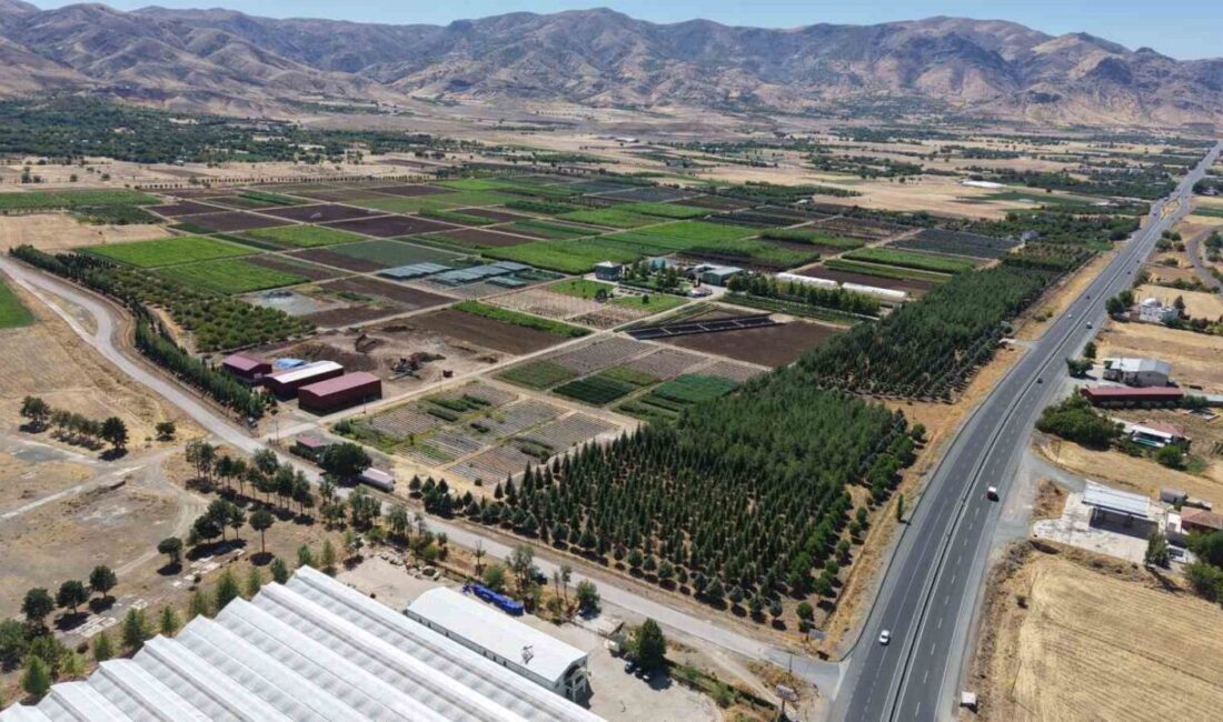 Elazığ Orman Bölge Müdürlüğü tarafından üretilen 6 milyon fidan, Türkiye’nin