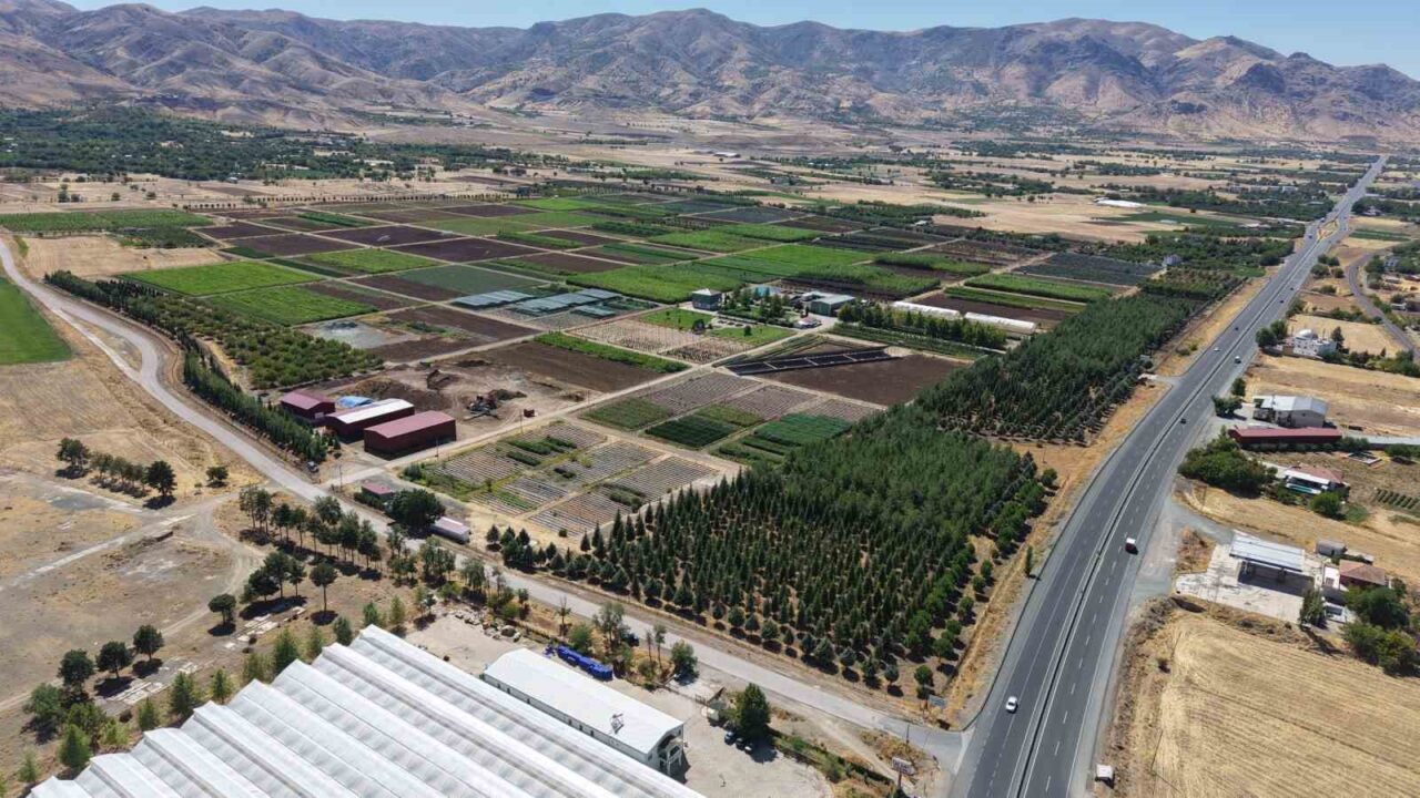 Elazığ Orman Bölge Müdürlüğü tarafından üretilen 6 milyon fidan, Türkiye’nin