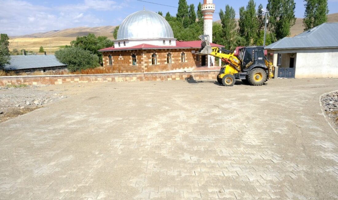 Ağrı’nın Eleşkirt ilçesine bağlı Abdiköy köyünde 2 bin metrekare kilit