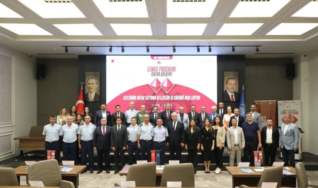 Millî Yetkinlik Hamlesi Projesi kapsamında, Cumhurbaşkanlığı Savunma Sanayii Başkanlığı ve