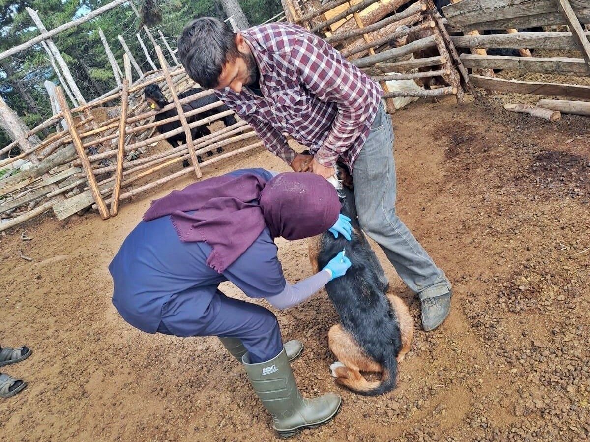 Emet İlçe Tarım ve Orman Müdürlüğünce Umutlu köyünde küçükbaş hayvanlara