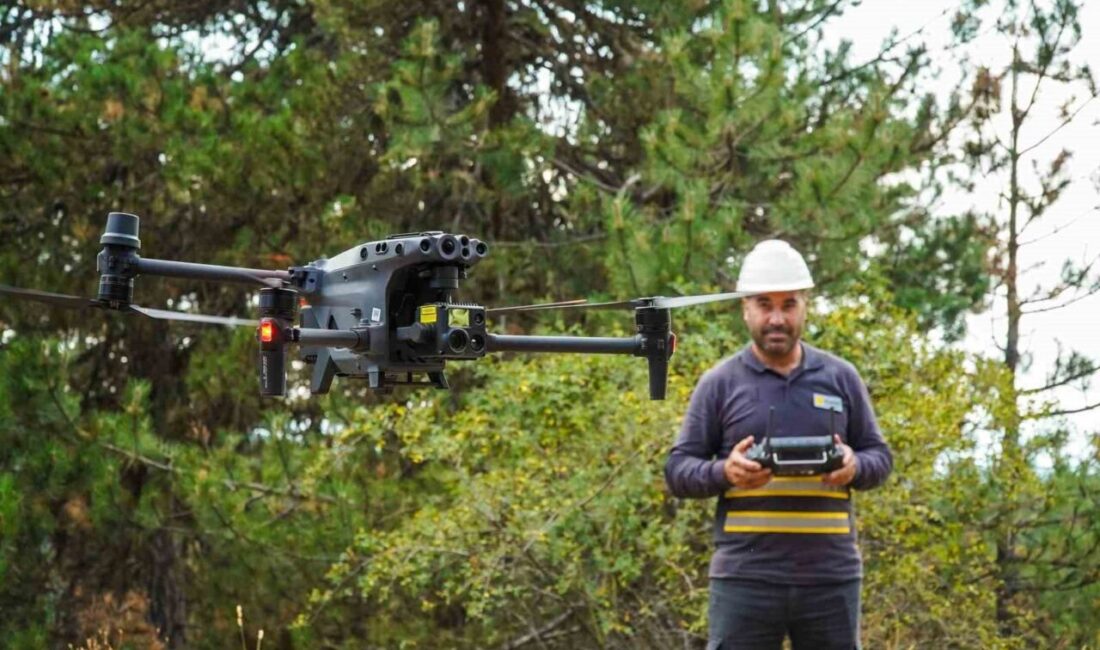 Enerjisa Dağıtım Şirketleri Başkent EDAŞ, Ayedaş ve Toroslar EDAŞ, daha