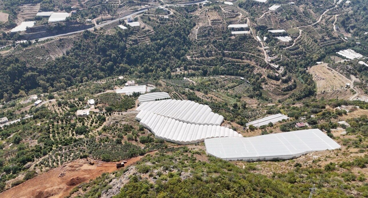 Antalya’nın Alanya ilçesine bağlı Güney Mahallesi’nde 104 dönümlük engebeli arazi