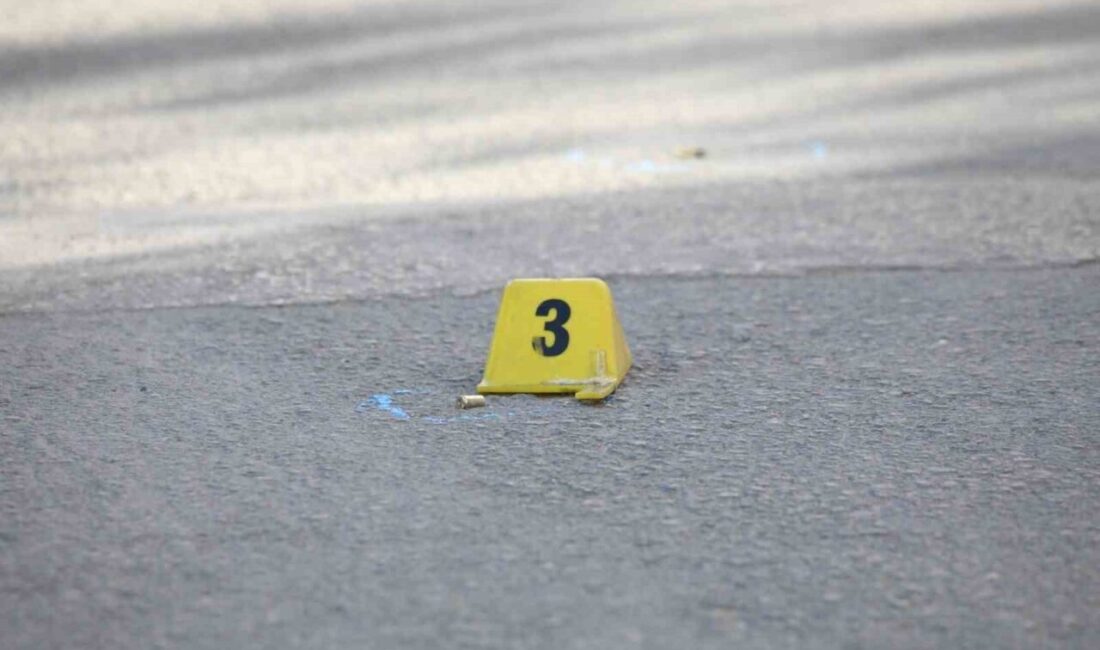 Van’ın Erciş ilçesinde silahlı saldırıya uğrayan 2 kardeşten biri hayatını