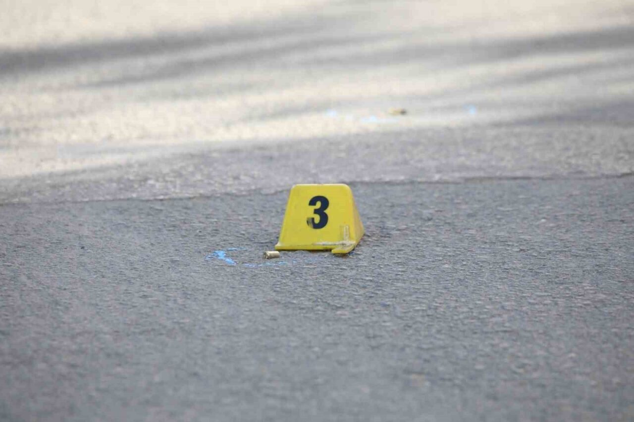 Van’ın Erciş ilçesinde silahlı saldırıya uğrayan 2 kardeşten biri hayatını