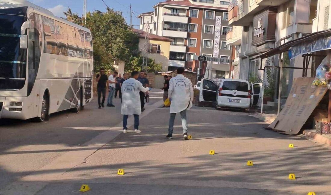 Van’ın Erciş ilçesinde silahlı saldırıya uğrayan 2 kardeşten biri hayatını