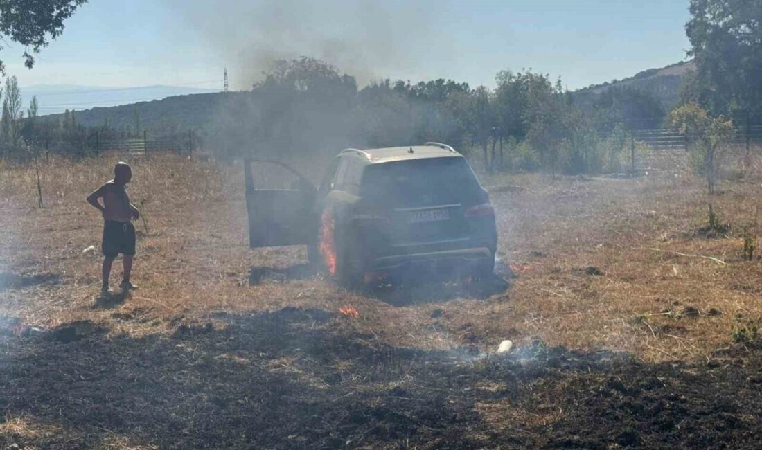 Balıkesir’de Erdek-Ocaklar yolu mevkiinde çıkan anız yangını zeytin ağaçlarına ve