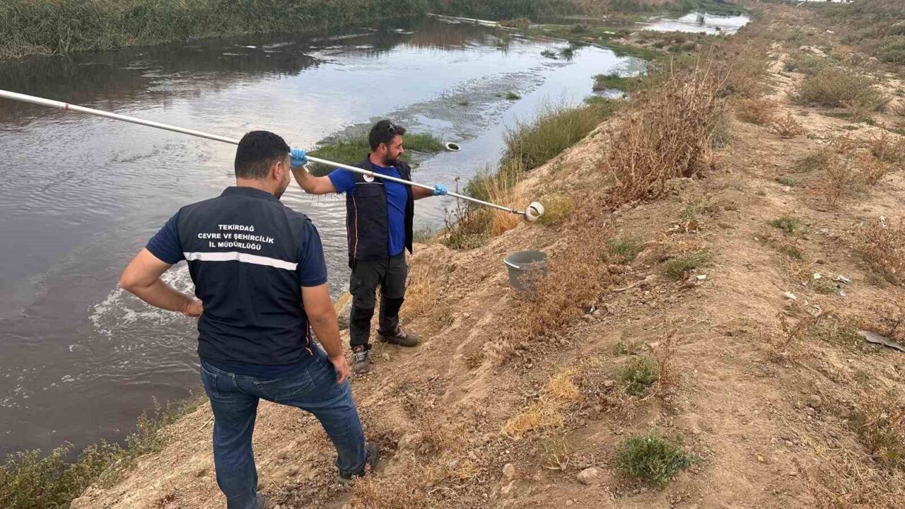 Tekirdağ’ın Ergene ilçesinde yapılan denetimlerde, evsel atık suların arıtılmadan Çorlu