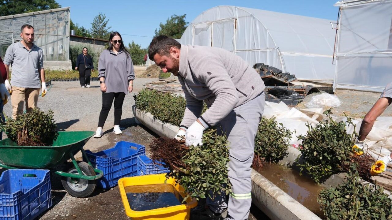 Erzincan Belediyesi Park ve Bahçeler Müdürlüğü ziraat mühendisleri tarafından yürütülen