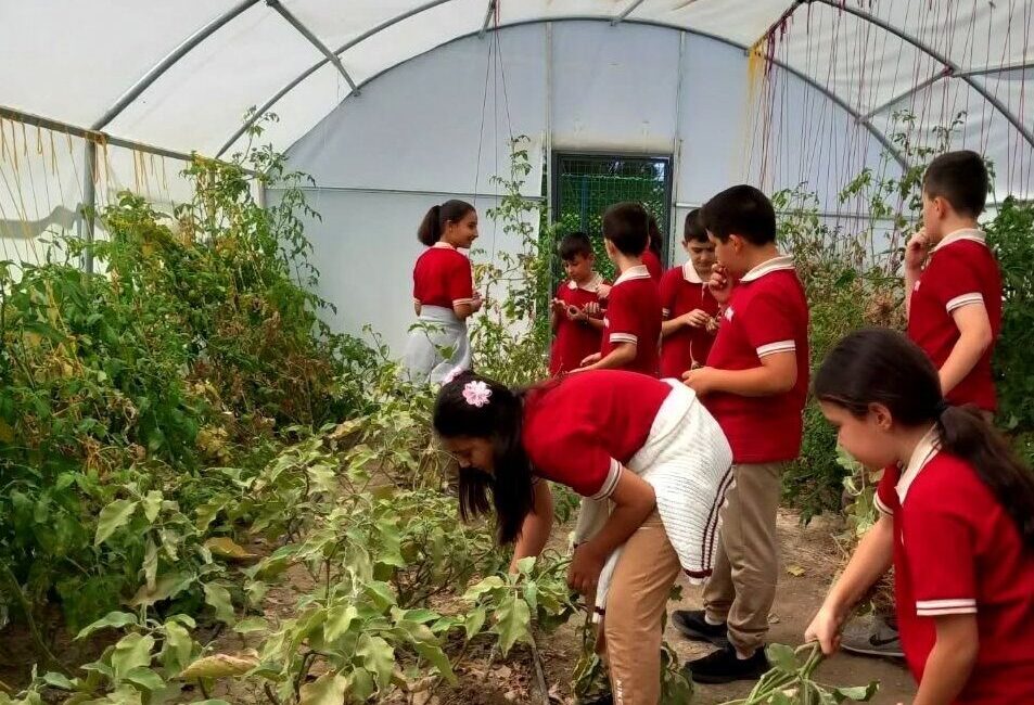 Tarım ve Orman Bakanlığı ile Millî Eğitim Bakanlığı arasında imzalanan