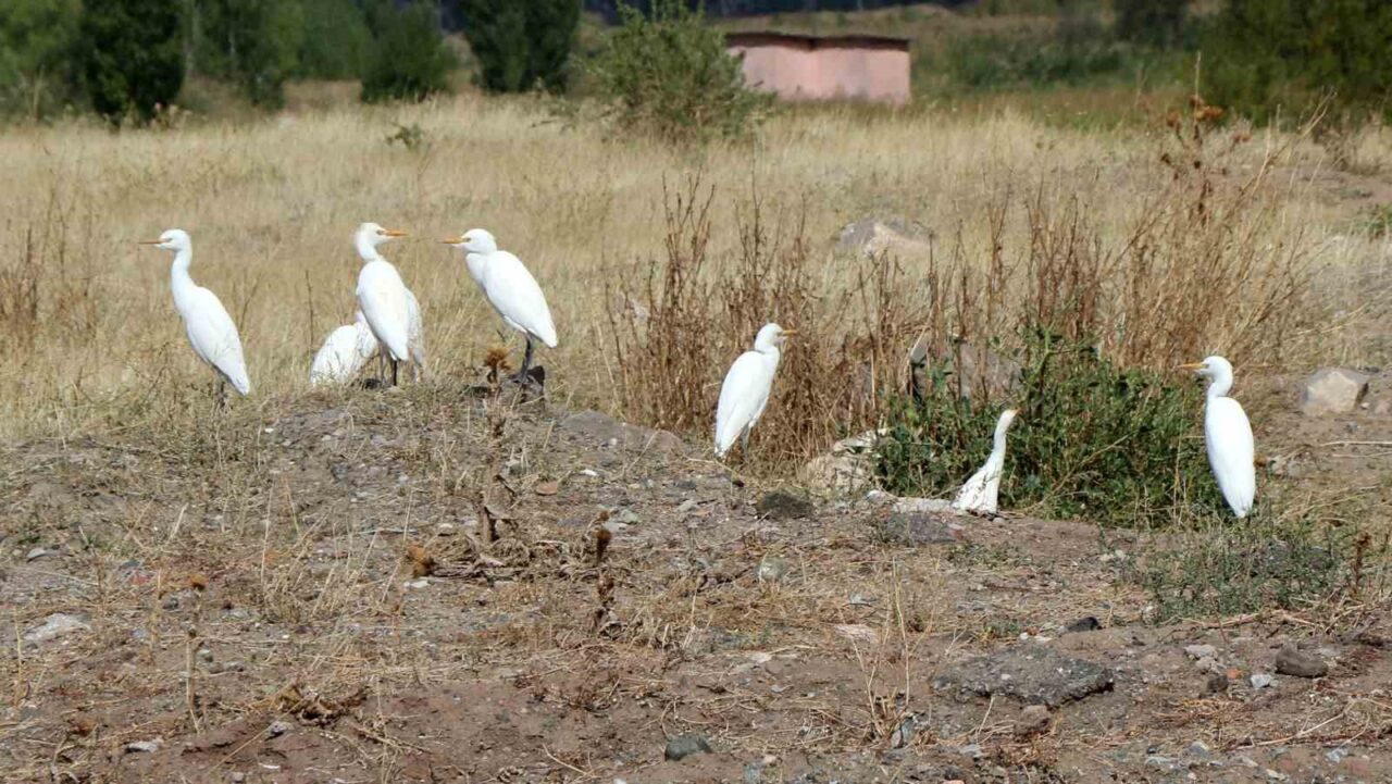 Munzur ile Keşiş Dağları arasındaki ovada yer alan ve 18