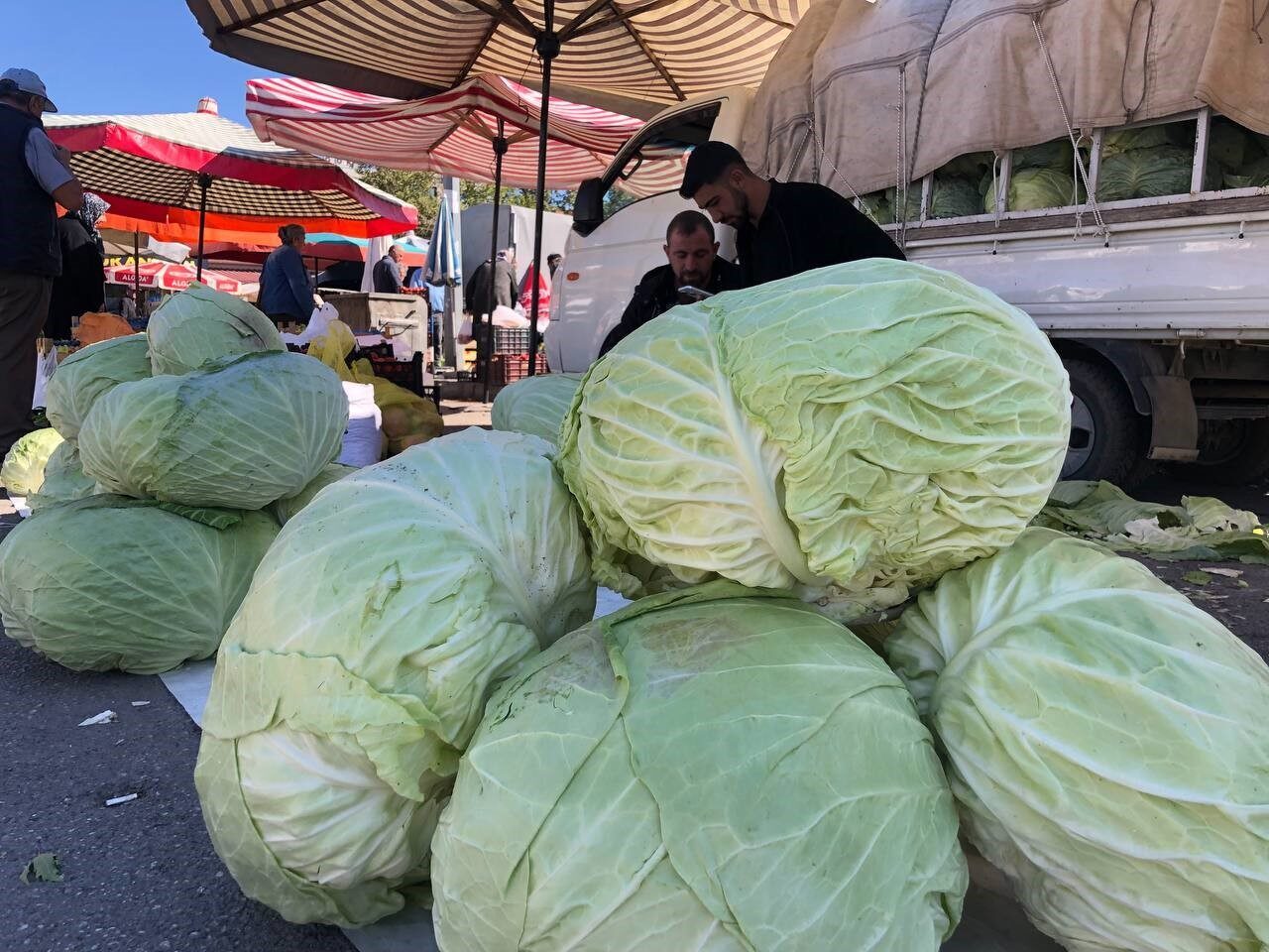 Erzincan’da kış aylarının vazgeçilmez lezzeti olan lahanalar tezgahlarda yerini aldı.