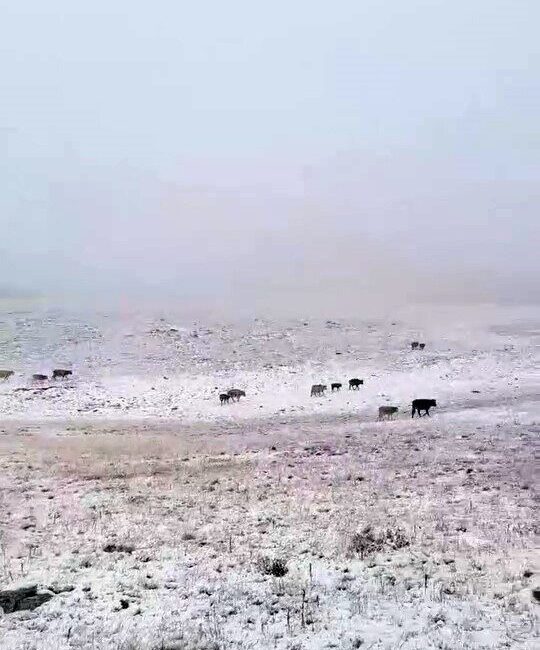 Erzurum’un İspir ilçesinde bulunan Yedigöller’e mevsimin ilk karı yağdı. Sıcaklıkların