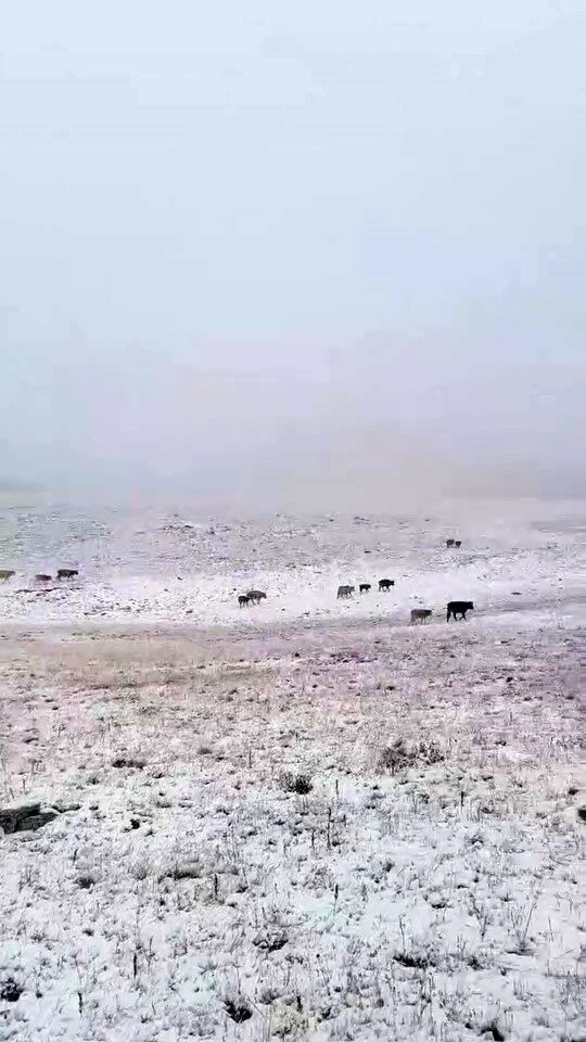 Erzurum’un İspir ilçesinde bulunan Yedigöller’e mevsimin ilk karı yağdı. Sıcaklıkların