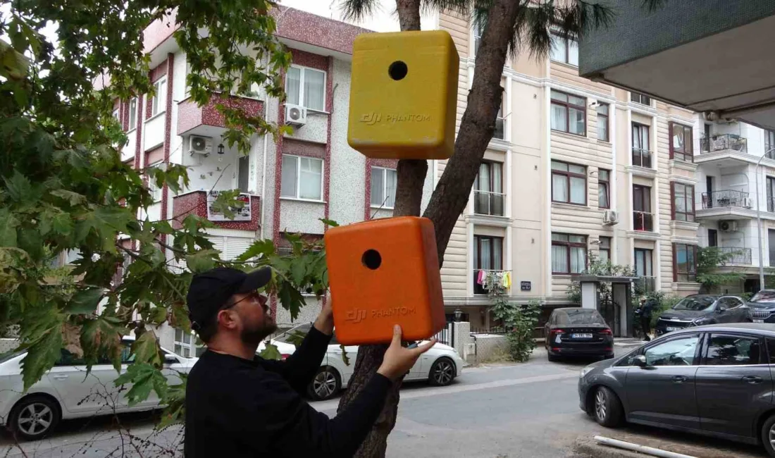 Maltepe’de 4 Ekim Hayvanları Koruma Günü öncesi anlamlı bir projeye