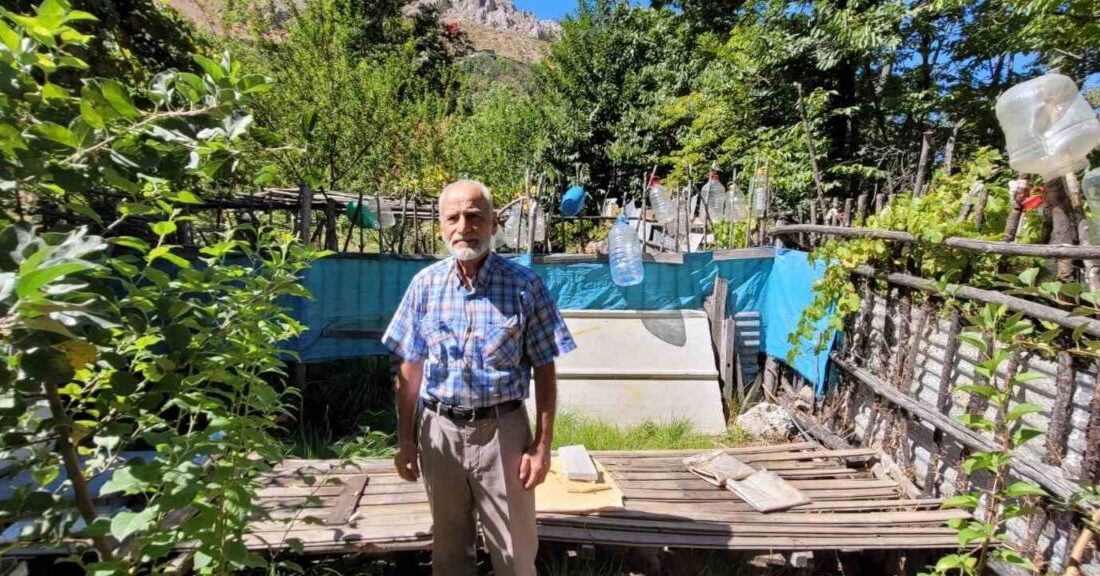 Erzincan’ın Kemaliye ilçesinde doğada aç kalan ayılar, ilçe merkezinde ev