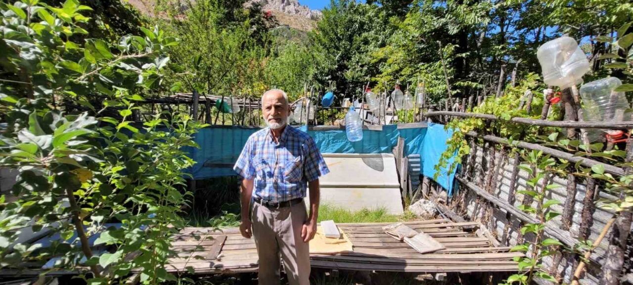 Erzincan’ın Kemaliye ilçesinde doğada aç kalan ayılar, ilçe merkezinde ev