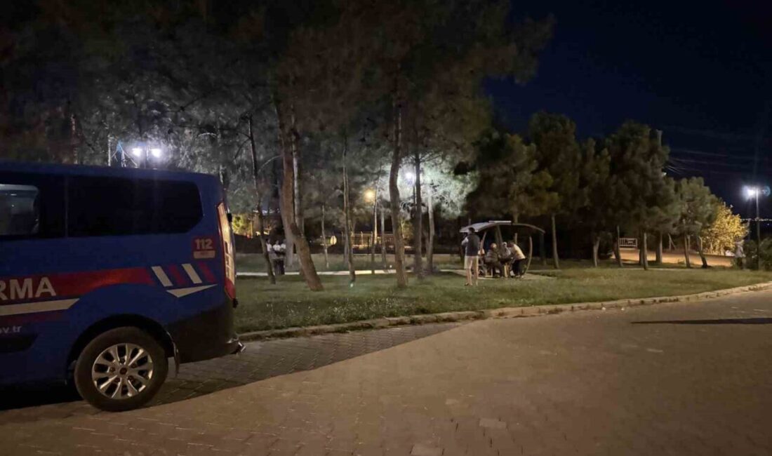 Denizli’de koyunlarını otlattıktan sonra eve gitmek için yola koyulan yaşlı