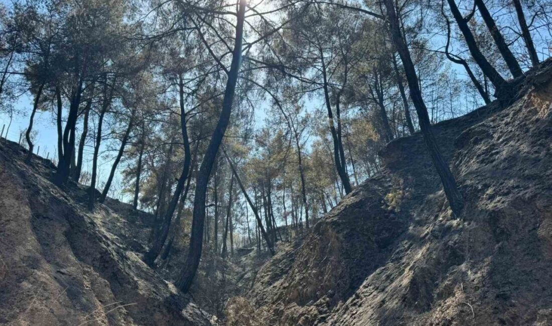 Denizli Buldan ilçesi Çatak Mahallesi’nde başlayan yangın dün Bölmekaya Mahallesi’ne