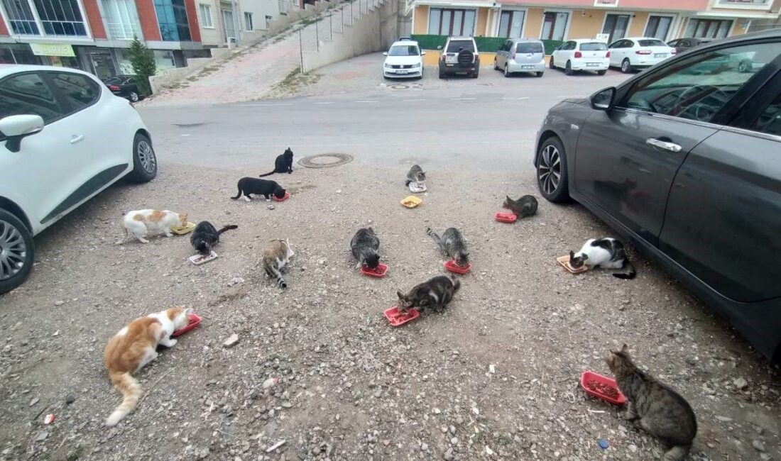 Sinop Mübadele ve Balkan Halkları Derneği Başkanı Kenan Aral, her