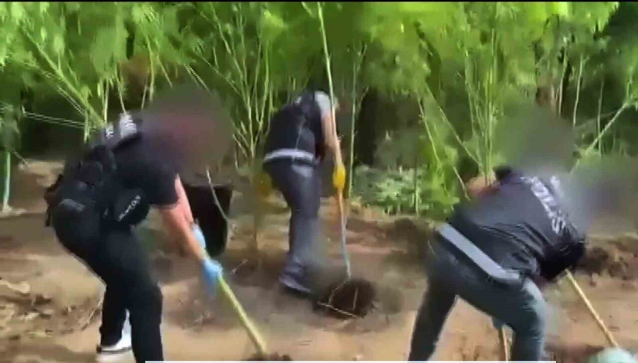 Muğla’nın Ula ilçesinde Emniyet Narkotik ekipleri tarafından bir eve düzenlenen