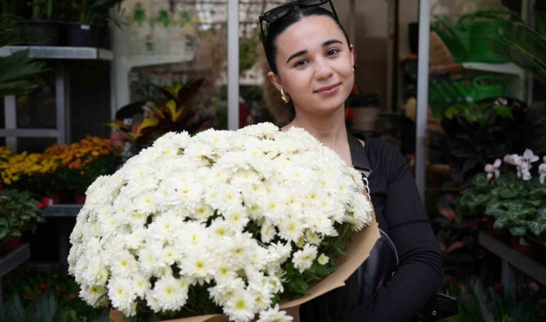 Sonbaharla birlikte kasımpatı ve sıklamen çiçeğine ilgi arttı. Bahçe ve