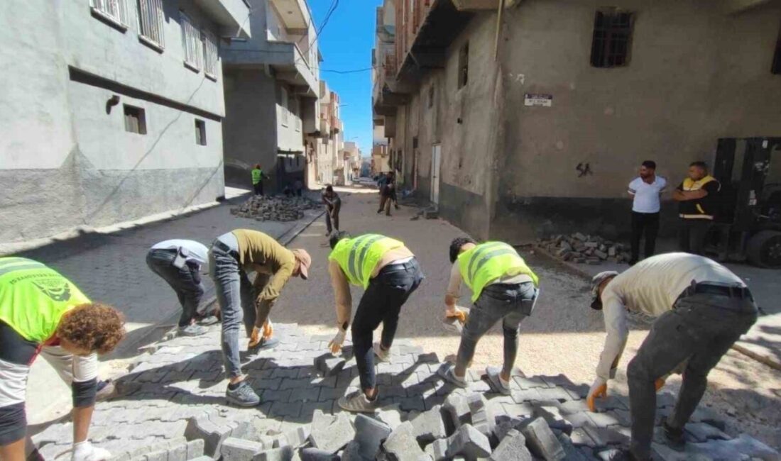 Eyyübiye Belediye Başkanı Mehmet Kuş, üst yapıda bakım ve onarım