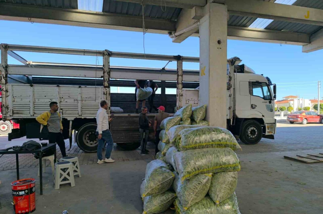 Afyonkarahisar’ın Şuhut ilçesinde kurulan fasulye pazarında üretici, tüccar ve nakliyeciler