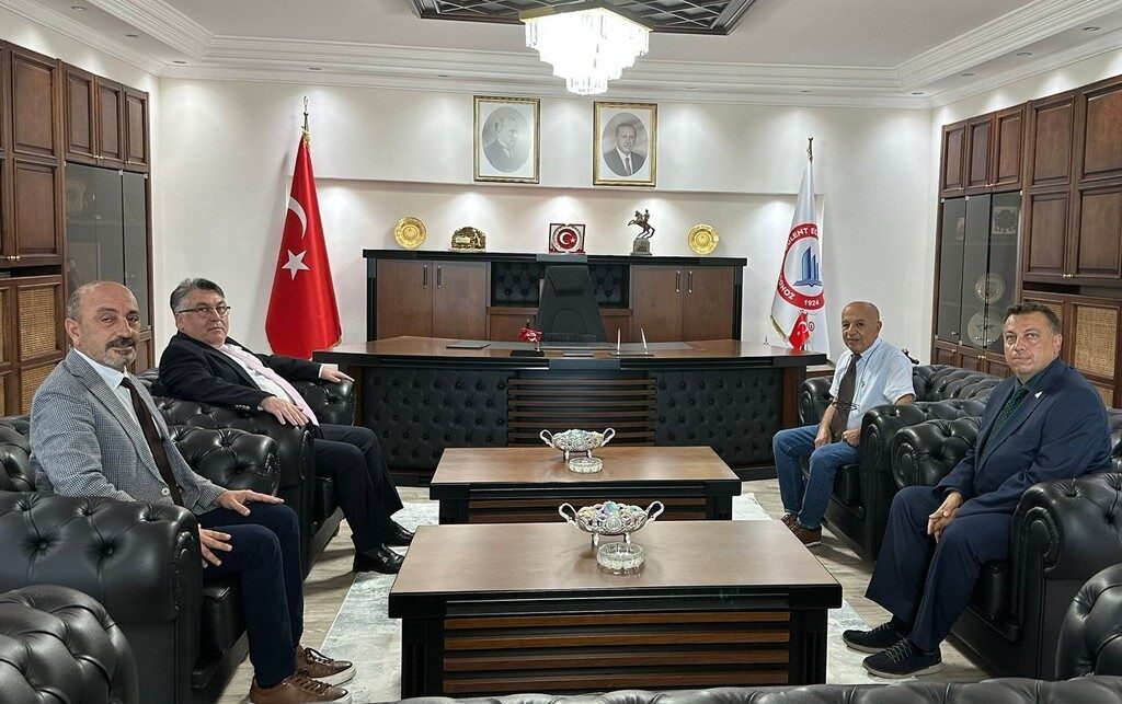 Fen, Edebiyat, Fen-Edebiyat, Dil ve Tarih-Coğrafya Fakülteleri Öğretim Programları Değerlendirme