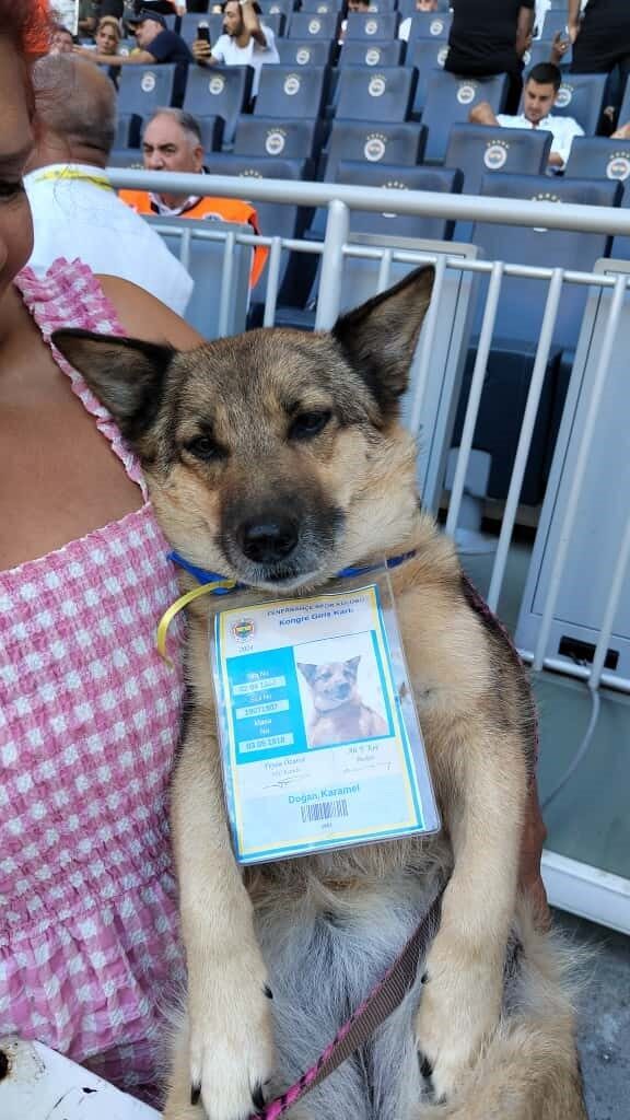 Fenerbahçe’de oy verme işleminde sandıklar kapandı. Fenerbahçe Olağanüstü Seçimli Genel