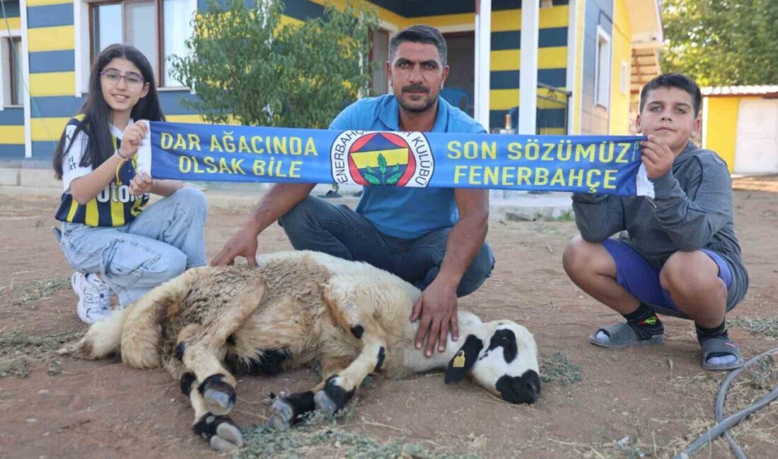 Elazığ’da fanatik Fenerbahçeli baba-kız, Sadettin Saran’ın başkanlığı sonrası yeni şampiyonluklar