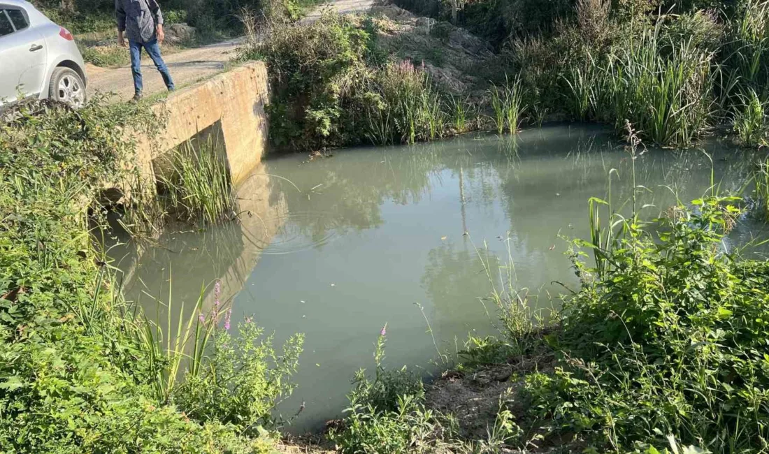 Sakarya’nın Ferizli ilçesinde mahalle sakinleri, sanayi bölgesindeki fabrikaların atıklarını su
