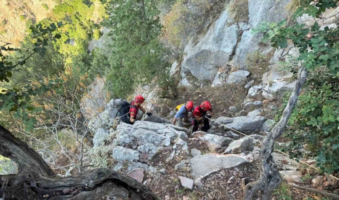 Muğla’nın Fethiye ilçesi Faralya Mahallesi’nde, Kelebekler Vadisi yakınlarında kayalıklarda mahsur
