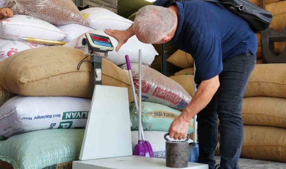 Düzce Belediyesi Zabıta Müdürlüğü, fındık hasadının başlaması ile birlikte fındık