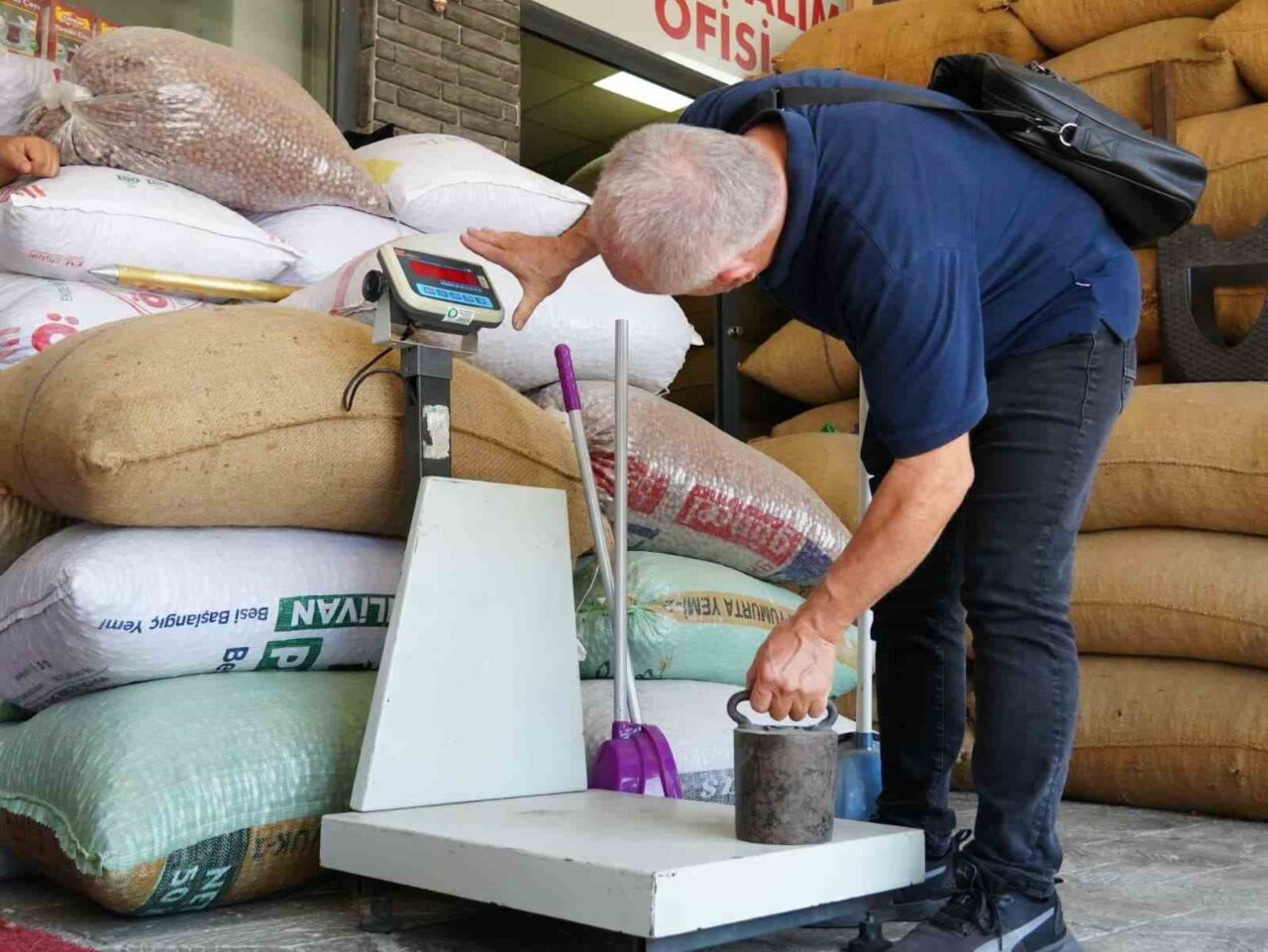 Düzce Belediyesi Zabıta Müdürlüğü, fındık hasadının başlaması ile birlikte fındık