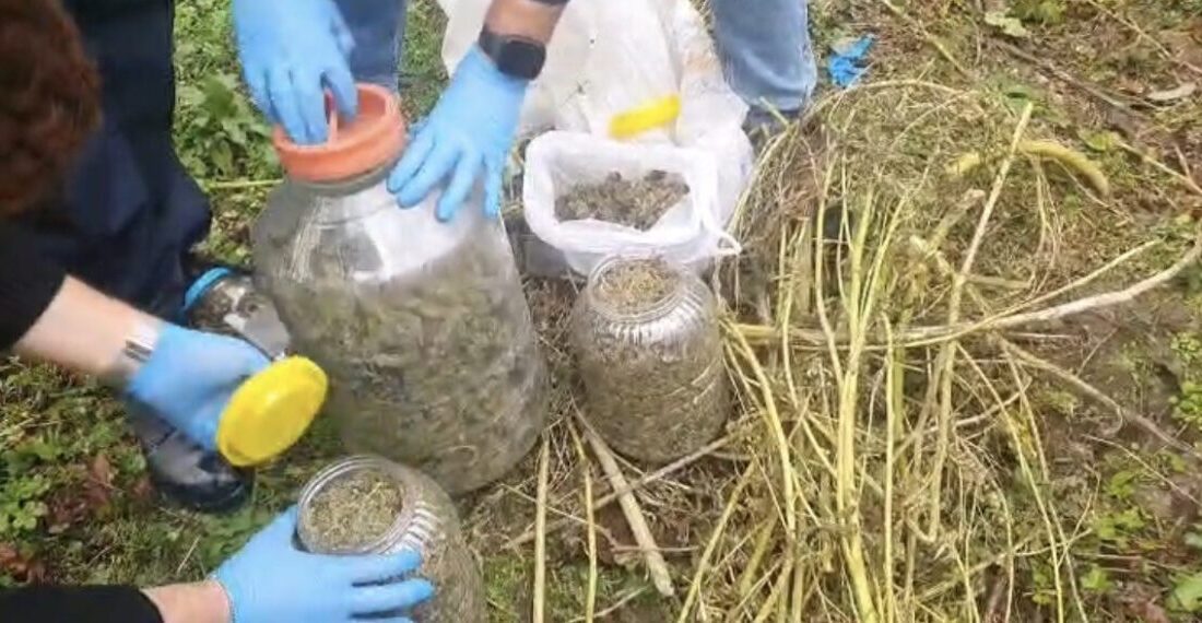 Samsun’un Terme ilçesinde jandarma ekiplerince fındık bahçesindeki çuvalın içindeki bidonlarda