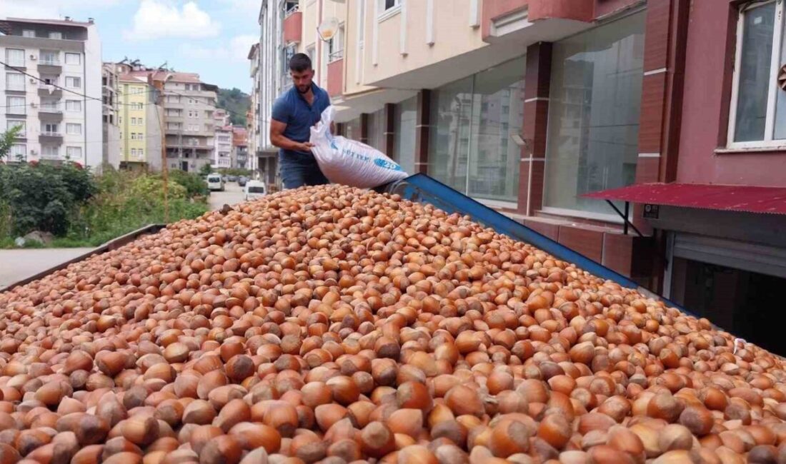 Dünya fındık üretim ve ticaretinin büyük kısmını elinde bulunduran Türkiye,