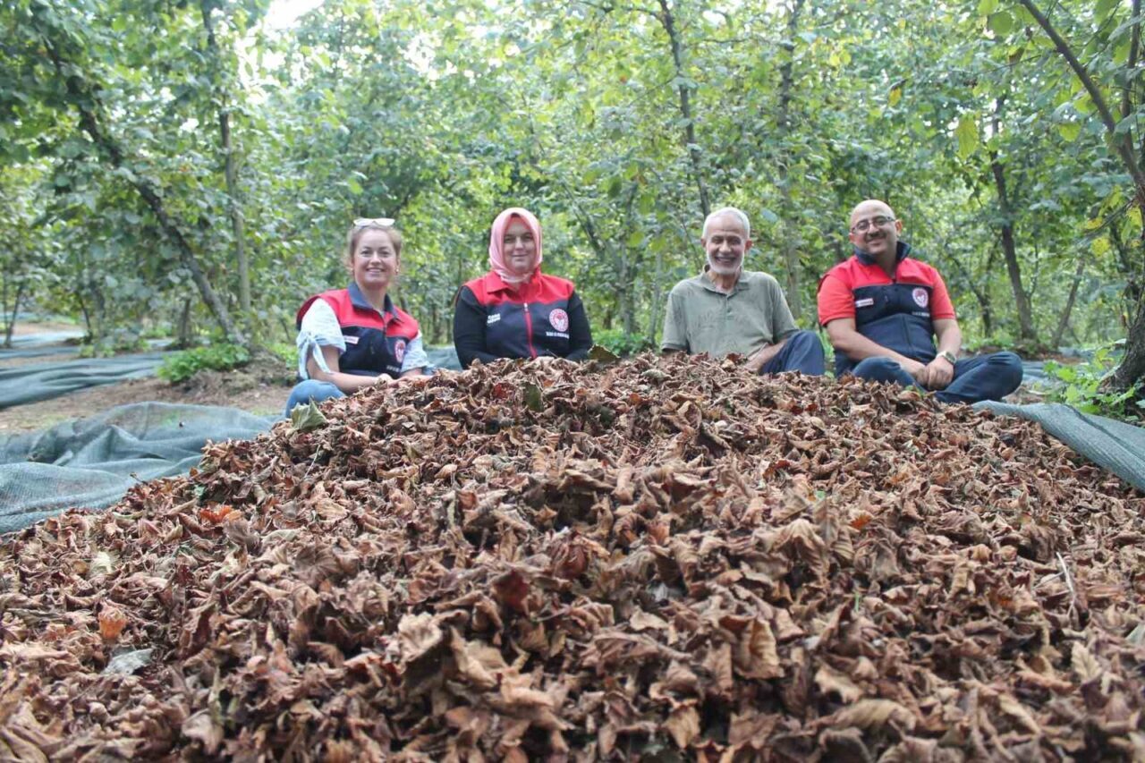 Düzce Tarım ve Orman İl Müdürlüğü tarafından kırsal kalkınma destekleri
