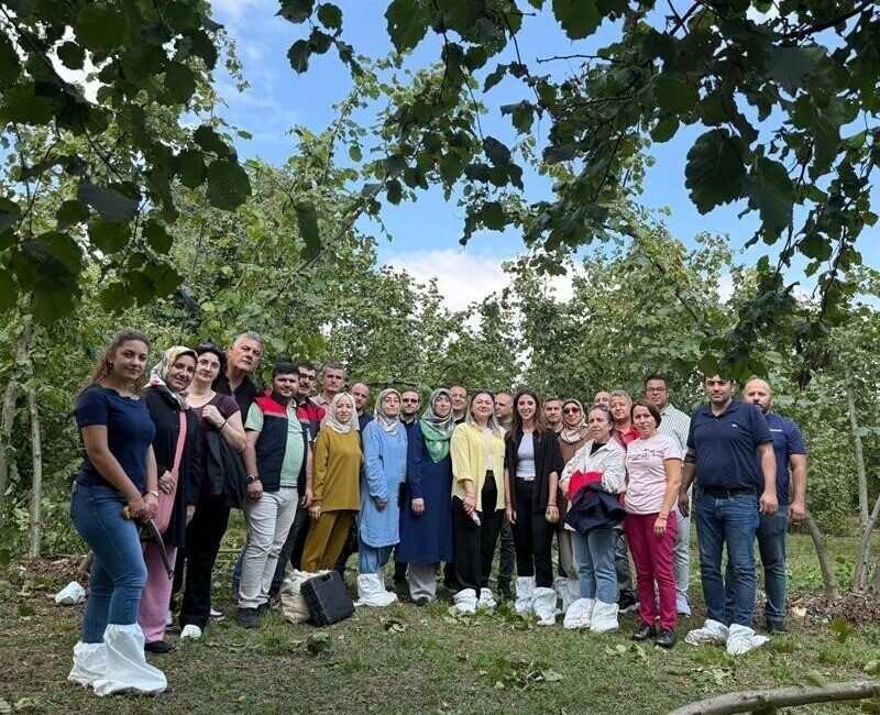 Düzce İl Tarım ve Orman Müdürlüğünce, fındıkta birim alandan elde
