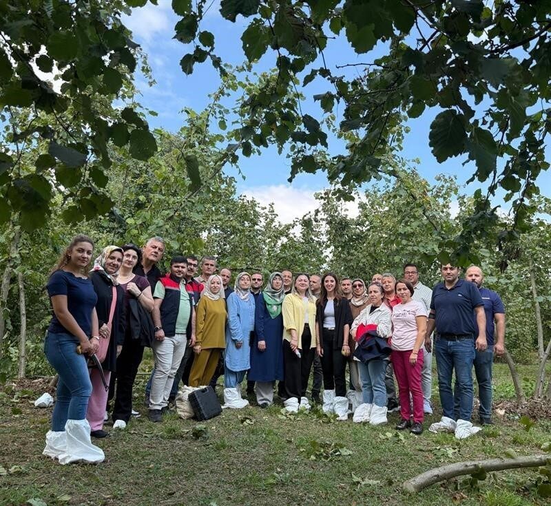 Düzce İl Tarım ve Orman Müdürlüğünce, fındıkta birim alandan elde