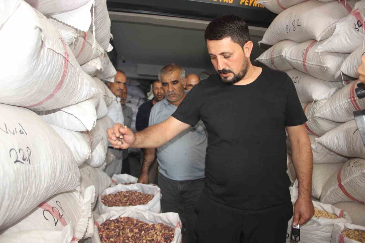 Şanlıurfa’da bu yıl fıstıktaki düşük rekolte, fiyatları iki katına çıkardı.