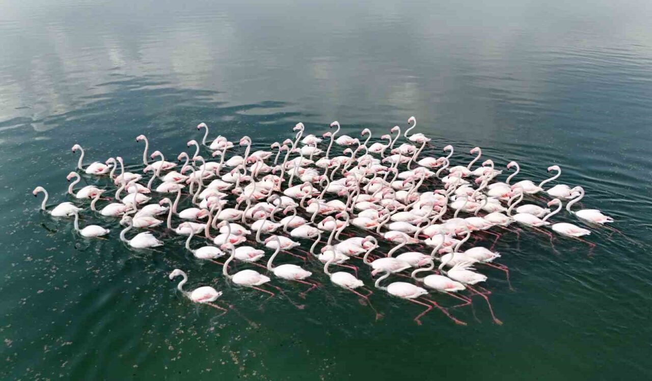Bitlis’in Adilcevaz ilçesine bağlı Akçıra ve Yarımada köylerinin Van Gölü