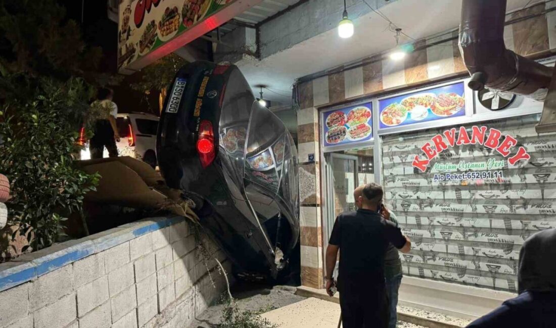 Şanlıurfa’nın Birecik ilçesinde minibüse çarpmamak için direksiyonu kırıp fren yerine