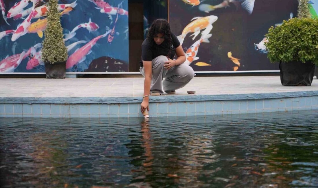 Gaziantep Doğal Yaşam Parkı’nda yeni açılan Tropikal Koi Parkı’ndaki 500